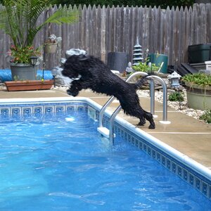 Fundraising Page: Robert Miller